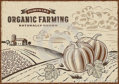 Pumpkin Organic Farming Landscape Vector Illustration