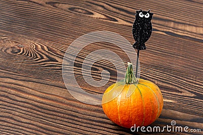 Pumpkin with owl for halloween on a brown wooden background Stock Photo