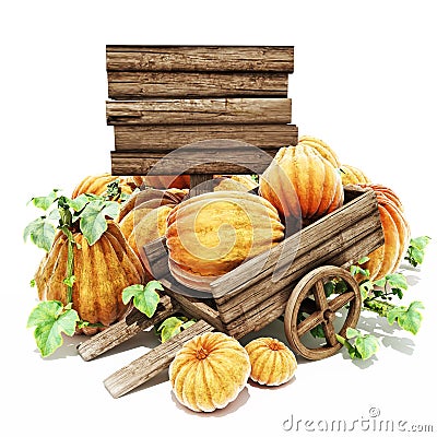 Pumpkin patch Stock Photo