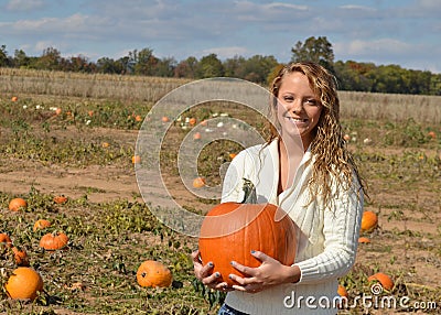 Pumpkin patch Stock Photo