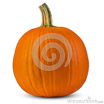 Pumpkin. Pumpkins good for Autumn still life, season composition. Concept for Thanksgiving or Halloween. Stock Photo