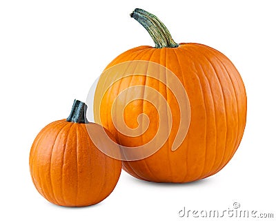 Pumpkin. Pumpkins good for carving a Jack o Lantern on Halloween. Farm autumn October harvest. Pumpkin for Oktoberfest. Stock Photo