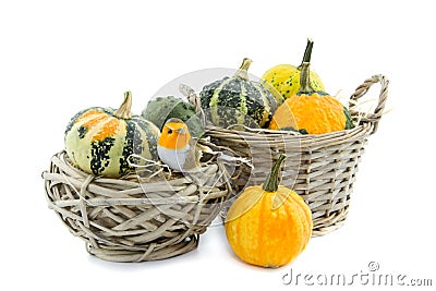 Pumpkin in reed basket Stock Photo