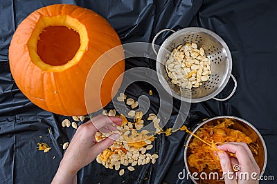 Pumpkin seed harvesting, womanâ€™s hands sorting seeds and pumpkin guts Stock Photo