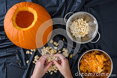 Pumpkin seed harvesting, womanâ€™s hands sorting seeds and pumpkin guts Stock Photo