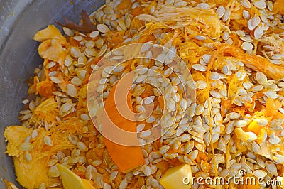 Pumpkin Seeds and Innards Stock Photo