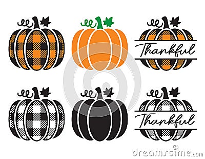 Cute Decorative Pumpkin with Plaid Pattern Set Vector Illustration Vector Illustration