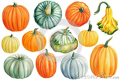 Pumpkin set on white isolated background, autumn harvest, watercolor drawings Cartoon Illustration