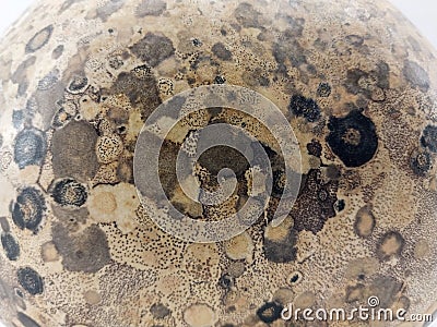 pumpkin skin texture, with irregular circular patterns, for multiple uses Stock Photo