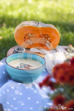 Pumpkin soup in blue plate with green background Stock Photo