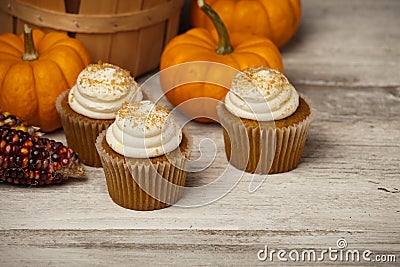 Pumpkin Spice Cupcakes Stock Photo