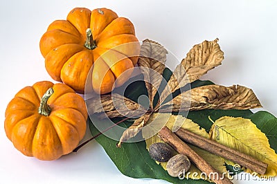 Pumpkin Spice Stock Photo