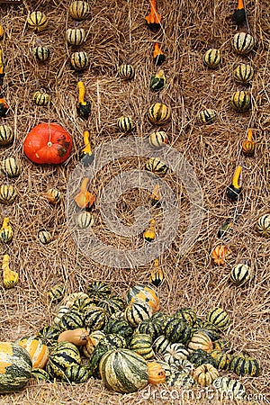 Pumpkin on straw Stock Photo