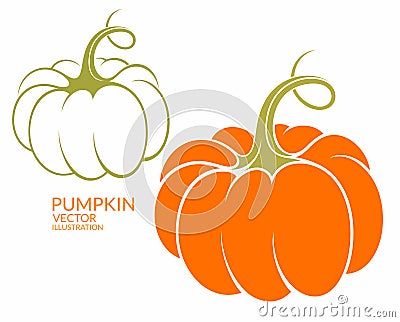 Pumpkin Vector Illustration