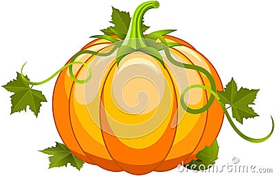 Pumpkin Vegetable Fruit Vector Illustration