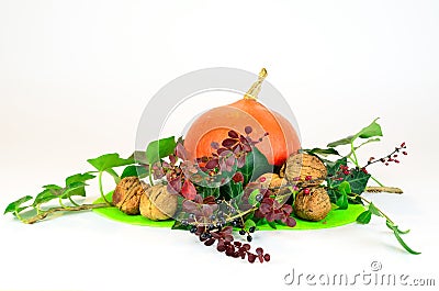 Pumpkin and walnuts Stock Photo