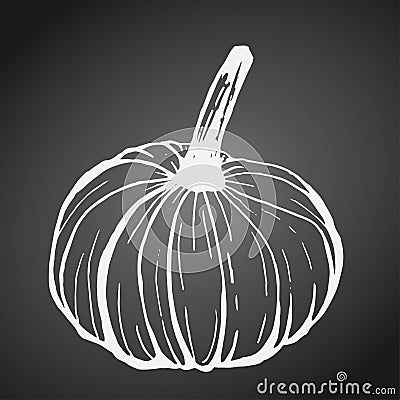 Pumpkin white outline on blackboard Vector Illustration