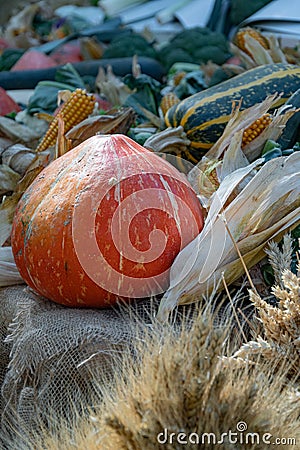 Pumpkin, zucchini, corn, wheat and other vegetables, and cereals at the organic, eco-food farmer's fair. Stock Photo