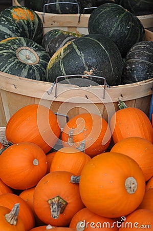 Pumpkins Stock Photo