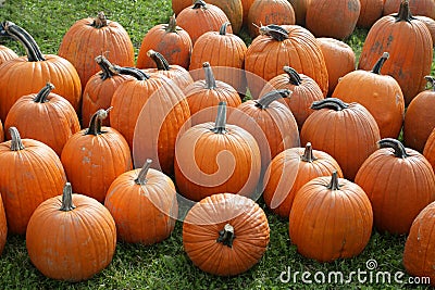 Pumpkins Stock Photo