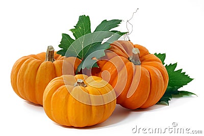 Pumpkins Stock Photo