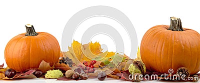 Pumpkins with autumn leaves for thanksgiving day on white background Stock Photo