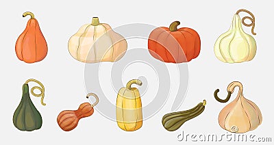 Pumpkins autumn set. Creative simple pumpkins, ripe variety nature objects. Vector Illustration