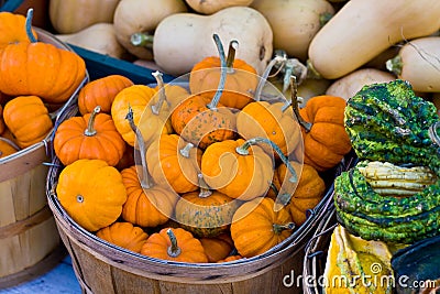 Pumpkins in a basket Stock Photo