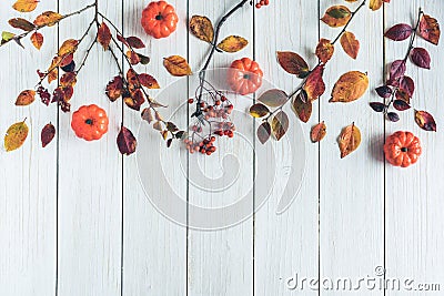 Pumpkins and branch of rowan on white retro wood boards. background. Autumn, fall concept. Flat lay, top view Stock Photo