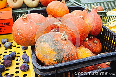 Czech Republic - Moravia - Brno food market 3 Stock Photo