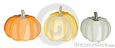 Pumpkins clipart elements. Isolated on white background. Fall, Autumn design Vector Illustration