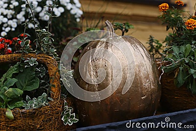 Pumpkins decorated for the holiday. Halloween preparation, rustic style Stock Photo