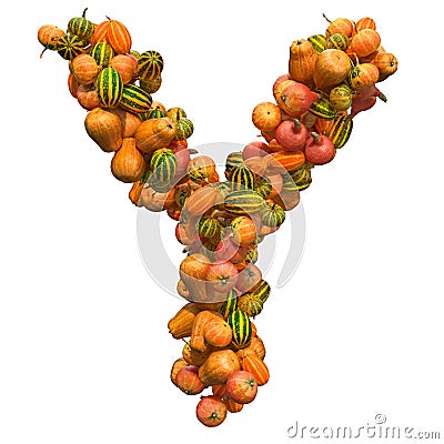 Pumpkins font, letter Y from squashes. 3D rendering Stock Photo