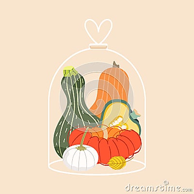 Pumpkins in glass cloche jar. Autumn vegetables hygge mood. Cozy fall thanksgiving halloween decoration objects isolated on beige Vector Illustration