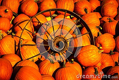 Pumpkins with an old wagon wheel Stock Photo