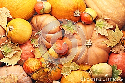 Pumpkins Stock Photo