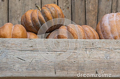 Pumpkins over old Wooden Background. Harvest. Halloween Stock Photo