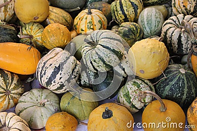 Pumpkins Pumpkins Stock Photo
