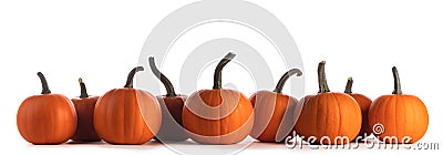 Pumpkins in a row on white background Stock Photo