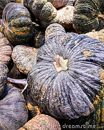 Pumpkins sale at local market Stock Photo