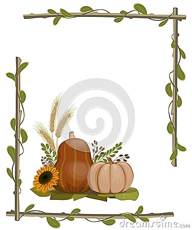 Pumpkins, sunflower, spikelets and sprigs of grass in a frame of branches. Vector Illustration