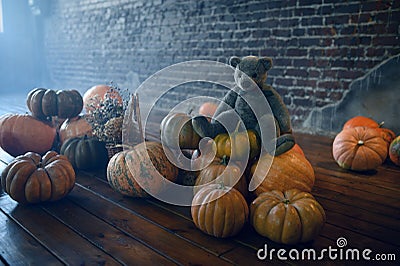 Pumpkins and teddy bear, nobody, exorcism concept Stock Photo