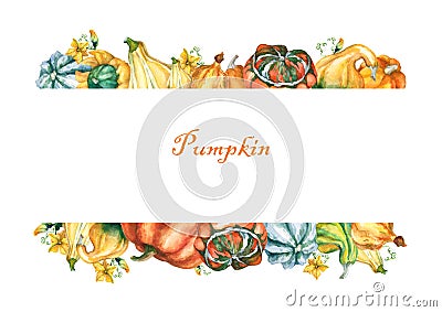 Pumpkins. Template with decorative pumpkins watercolor painting on white background. Stock Photo