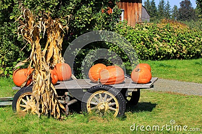 Pumpkins in Wagon Stock Photo