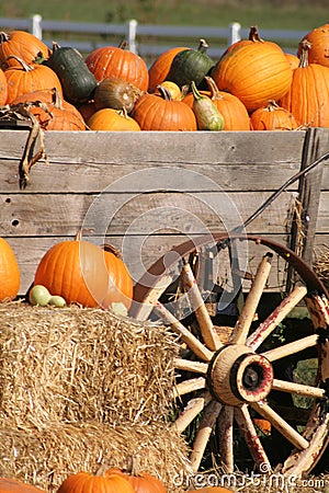 Pumpkins in Wagon Stock Photo