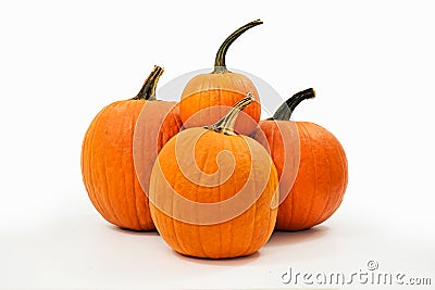 Pumpkins on White Background Stock Photo