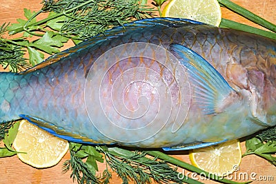 Punch fin fragment piece colorful raw fish parrot blue tropical Stock Photo