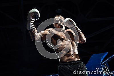 Punching boxer on boxing ring Stock Photo