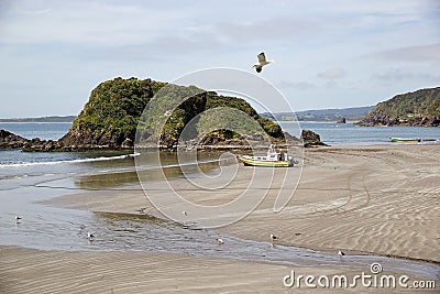 Punihuil beach, Chiloe island, Chile Editorial Stock Photo