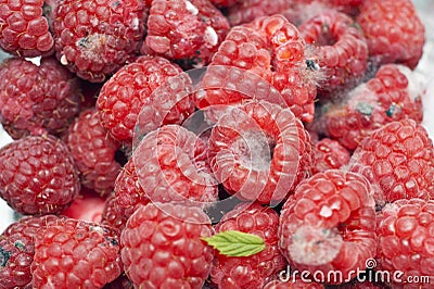 A punnet of expired raspberry fruit Stock Photo